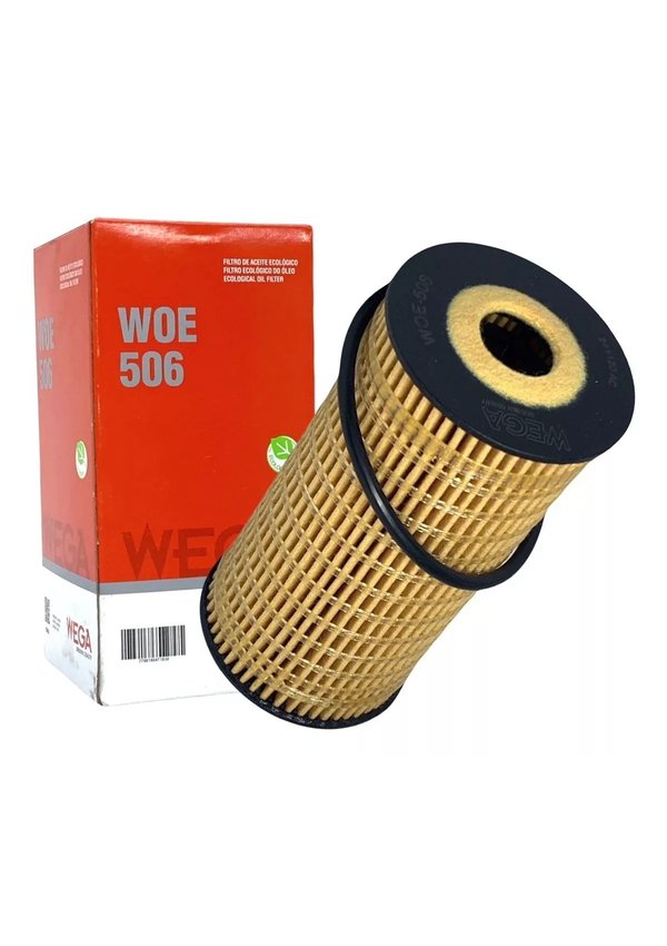 4955 wega1
